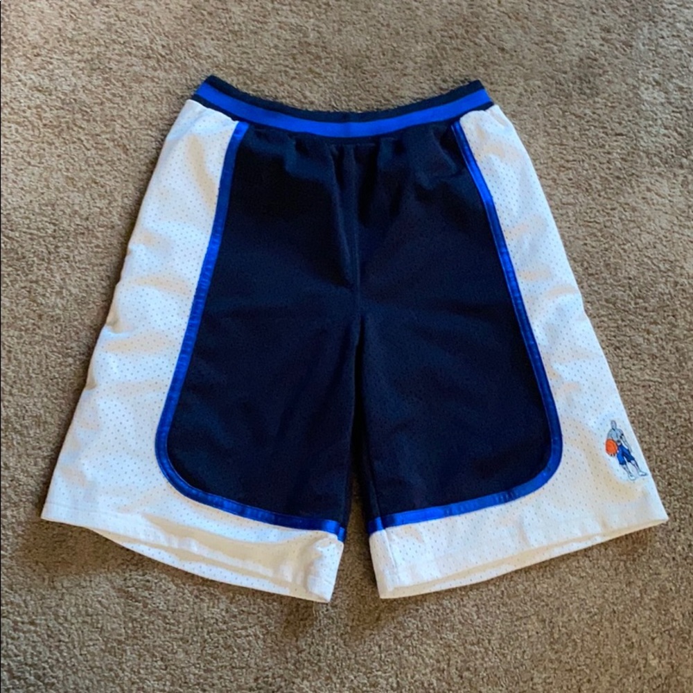 Andi wide legged mesh basketball shorts, Large